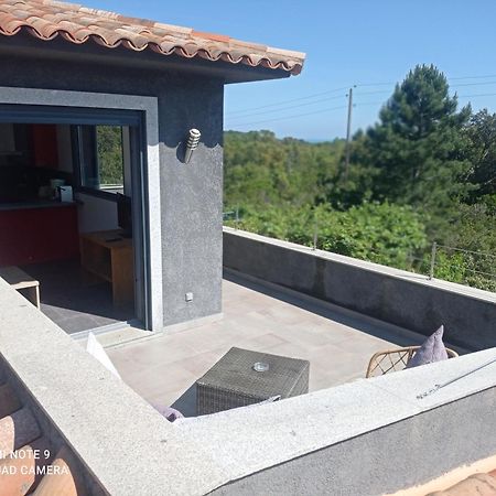 Chez J, Appartement A L'Etage, T3 Lecci Exterior photo